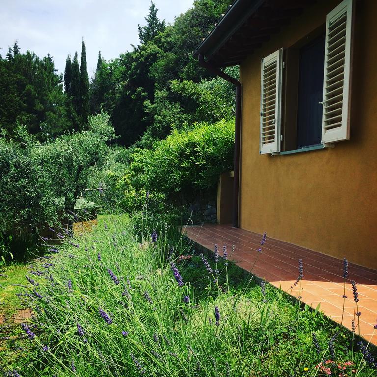 La Locanda Del Barbagianni サンタ・ルーチェ エクステリア 写真